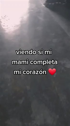 Llenando el Corazón en Lost Life