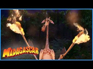 DreamWorks Madagascar | Melman is on Fire! | Madagascar Movie Compilation