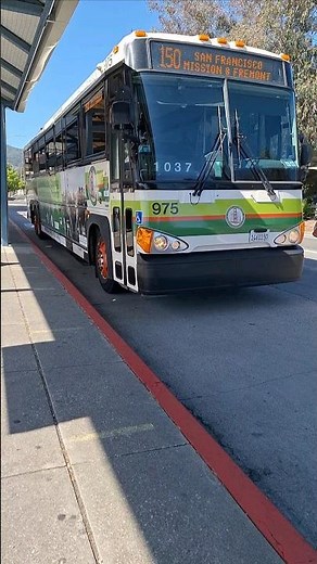 Golden Gate Transit #975 on Route 150 at San Rafael Transit Center