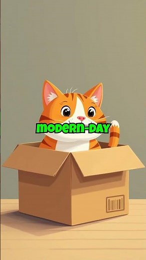 Why Cats Love Boxes: The Science Behind the Box Obsession #cats #boxes #felinebehavior