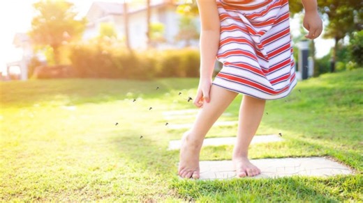 FACT CHECK: Why do mosquitoes bite some people more than others? Science finally explains