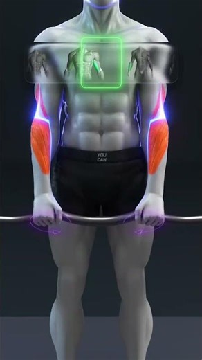 The Secret to Massive Arms: Close-Grip vs. Neutral vs. Reverse Barbell Curl.