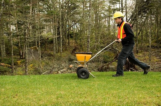 Top 3 Competitors & Alternatives of TruGreen: Which is Better?