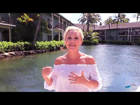Actress Leigh-Allyn Baker swims with the dolphins at Dolphin Quest Oahu