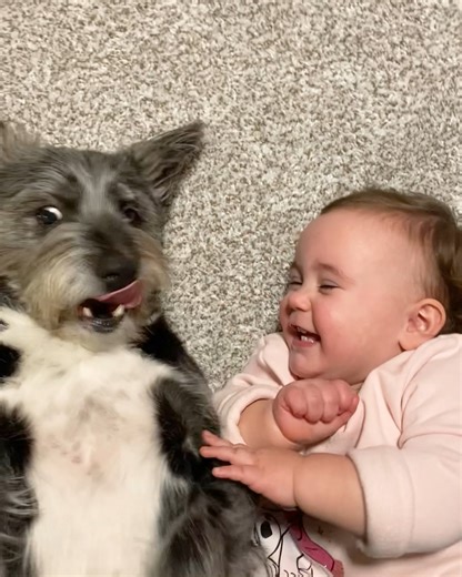 4.3M views · 10K reactions | Babies playing with dogs  | MetDaan Tips | Facebook
