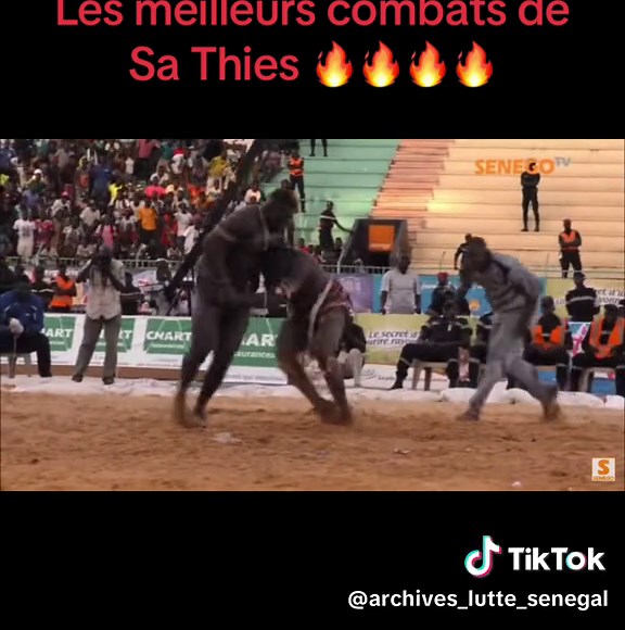 Les meilleurs combats de Sa Thies : Action et Passion