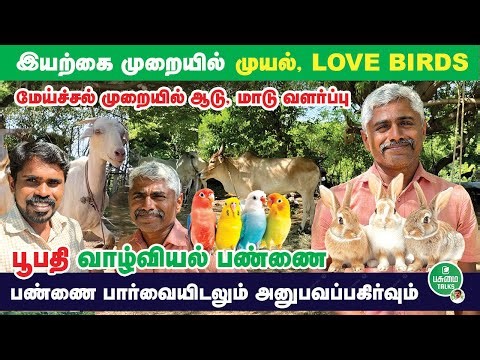 இயற்கையோடு இணைந்த வாழ்வியல் | Boopathi’s Integrated Farm Visit | Rabbit Farming | Pasumai Talks