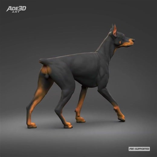 Doberman Pinscher Cropped Ears Docked Tail 3D Print Pose 03 | Resin 3D Print STL | Sculpture