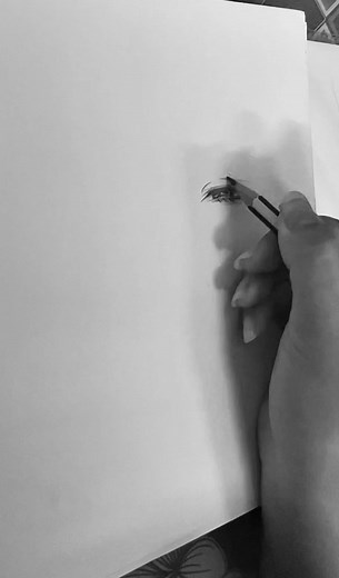 Linz Dzaii y Yan Yuu: Arte y Dibujo