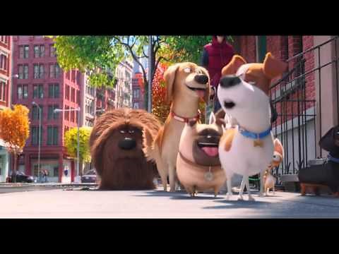 The Secret Life Of Pets