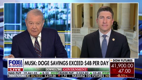 Elon Musk's DOGE cuts will be reflected in Trump's budget, congressman says