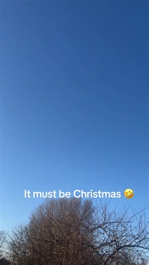 Pilots' Day Off Reflections