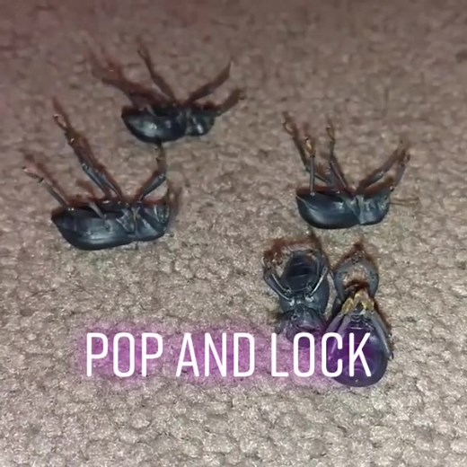 Peter Clausen on TikTok