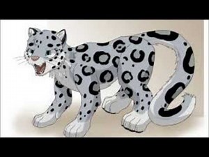 Snow Leopard Tf