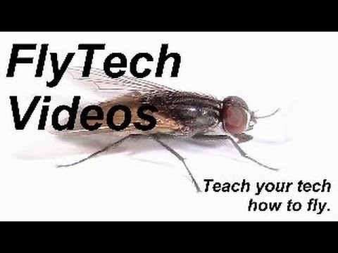 FlyTech Videos - Channel Trailer