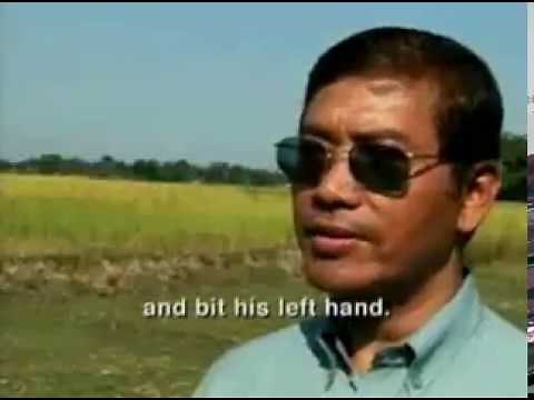 Tiger attacks man on elephant