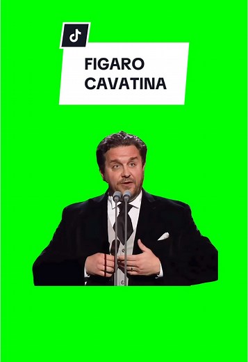 FIGARO CAVATINA Meme Green Screen Edits