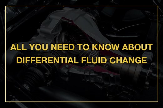 All You Need To Know About Differential Fluid Change