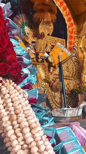 #दिव्य_आज_के_श्रृंगार आरती दर्शन 🌺 जय श्री सांवरिया सेठ ❤️