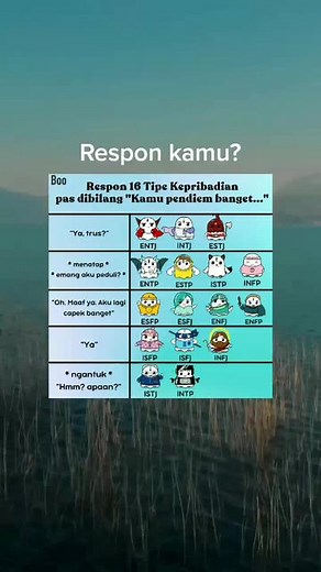 Review Aplikasi Boo: Di Balik 16 Kepribadian yang Unik