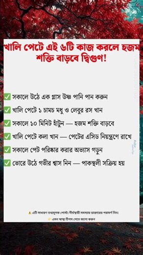 খালি পেটে এই ৬টি কাজ করলে হজম শক্তি বাড়বে দ্বিগুণ! 😱 | Digestion Tips Bangla #shorts
