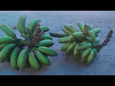 SP Channel 😍😍 is live!