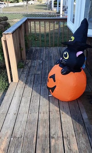 Halloween Inflatable cat in pumpkin