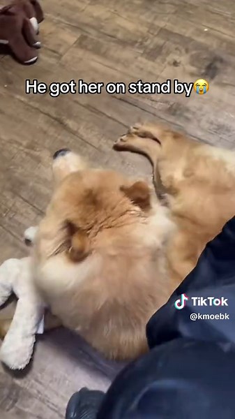 Tang Fang's Standing Ovation: A Remarkable Moment