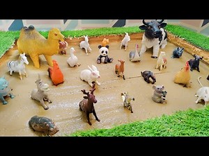 Domestic Animals Farm Animals Muddy Adventure for Toddlers | Fun Learning for Kids