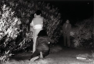 People Who Watch People Having Sex in the Park, and the Man Who Photographed Them