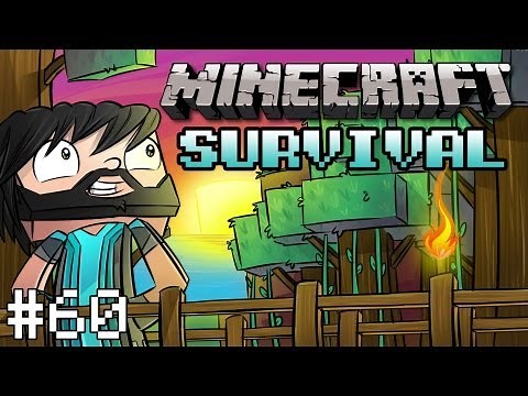 Minecraft : Survival Let's Play - Part 60 - Island In The Sky