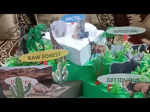 BIODIVERSITY MODEL PROJECT/ECOSYSTEM MODEL