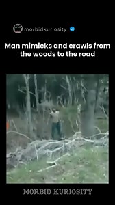 247K views · 3.7K reactions | The Wendigo is a chilling figure from...