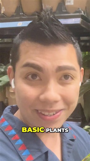 Big Impact Low Maintenance Plants