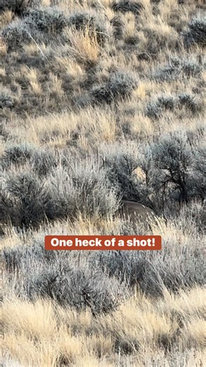 Tiffany Hutchinson on Instagram: "#WyomingDeerHunting #WyomingMuleDeer #MuleDeerHunt #WyomingHunting #HuntWyoming #WyomingOutdoors #MuleDeer #BigWyomingBuck #WyomingBigGame #BackcountryWyoming #WyomingWild #HuntWY #DIYWyomingHunt #RifleSeasonWyoming #WesternHunting #MountainBuck #MuleDeerMadness #HighCountryHunting #WyomingAdventures #WyomingRange"