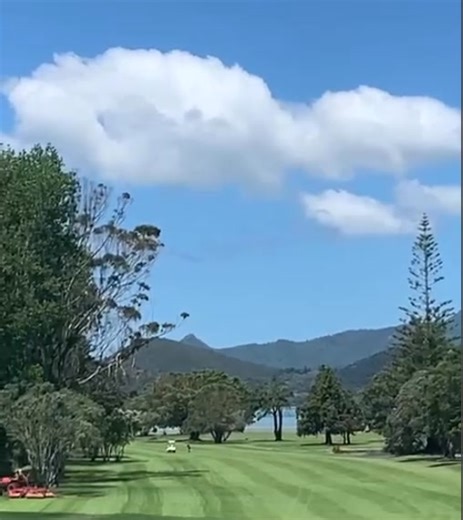 96K views · 113 reactions | On Monday 24th November 2025, Dave Mullan...