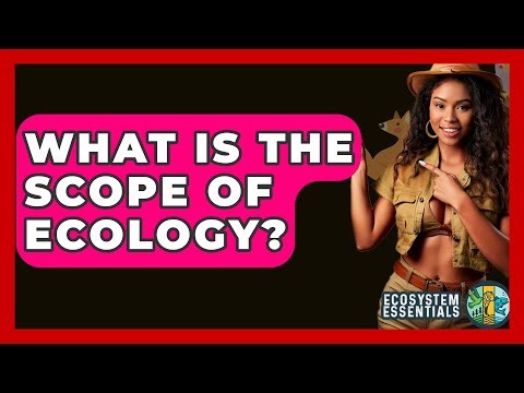 What Is The Scope Of Ecology? - Ecosystem Essentials