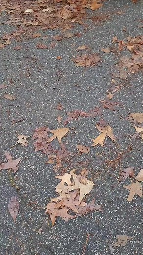 08-10 SUPERDUTY FRONT SWAPPED EXCURSION PAINTED WITH @raptorliner . . . . #excursion #fordv10 #fordexcursion #fordtrucks #v10 #fordexcursionv10 #fordexcursionlimited #roofrack #sumosprings #mcnastycustomz #mcnastycustomz #raptorpaint #bedlinerpaintjob #raptorcommunity #upol | JMR Rebuilders