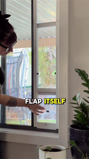 Tired of keeping your curious cat cooped up?  Introducing the Cat Door Window Insert - tough, secure & perfect for renters! No damage to windows, easy outdoor access. Give them freedom they'll love! Shop now and unleash their inner adventurer!  | Patio Link Pet Doors | Facebook