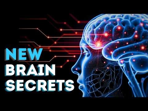 10 Brain Secrets Scientists Recently Discovered