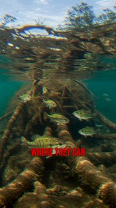 4.8K views · 66 reactions |  Wonder why your pattern just dies when...