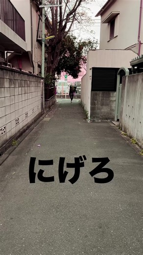 Horror Comedy: The Funniest Scary Moments