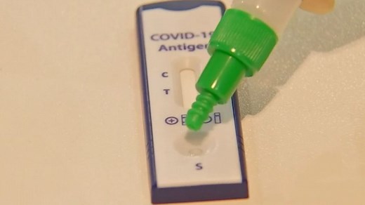 VIDÉO - Un résultat en 15 minutes : les tests antigéniques, mode d'emploi | TF1 Info