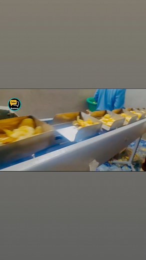 Packing | Business Talks