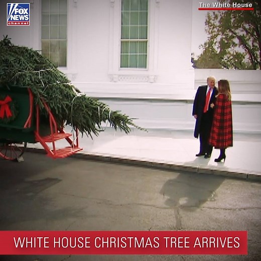 263K views · 6.9K reactions | O CHRISTMAS TREE: President Donald J. Trump and first lady Melania Trump greeted a group of people outside the North Portico as The White House's official Christmas tree arrived on Monday. https://bit.ly/2qV2vYv | Fox News | Facebook