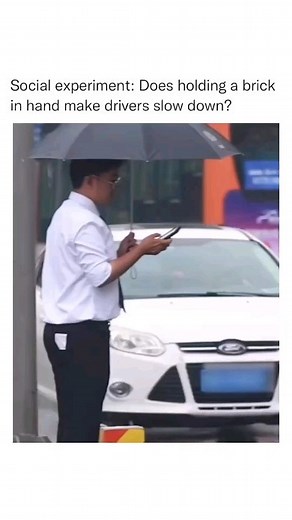 25K views · 480 reactions | Thank you for this #experiment #therealtreeman on TT. _ #science #social #socialexperiment #experiments #experience #bus #car #cars #street #city #traffic #random #queue #phone #versus #brick __ Check out @bad_science_jokes for more fun (and funny) stuff. | Bad Science Jokes | Facebook