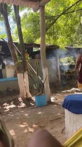 Yo: hay mosquito Mi abuela en corto resolviendo siempre | Elsy Osiris GA