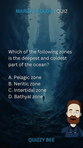 32K views · 852 reactions | Marine Biology Quiz | Dive into the Deep: Marine Biology Quiz  | #marinebiology #marine #biology #quiz #aquaticlife #world #education #learning #knowledge #challenge #brainteaser #school #quiztime #trivia #facts #getlearning #fbreels #reelsfb #reels #viral #viralreels #viralvideo #fyp #educationalcontent #quizbee | Quizzy Bee | Facebook