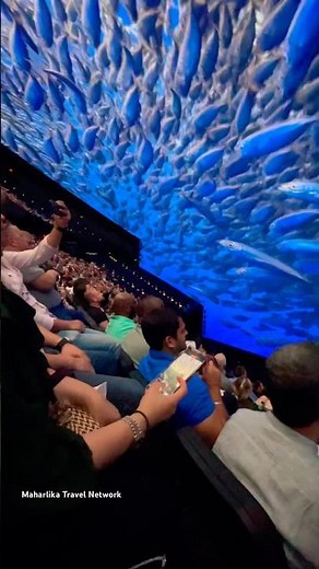 Inside the Sphere Las Vegas | Immersive Ocean Experience Like No Other!