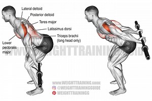 Bent-over barbell reverse raise exercise instructions and video